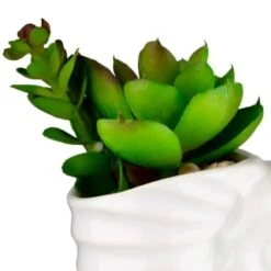B&M Scandi Shore Small Shell Succulent -Cheap Home Style Store 380110 small shell succulent 2