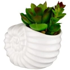 B&M Scandi Shore Small Shell Succulent -Cheap Home Style Store 380110 small shell succulent 3