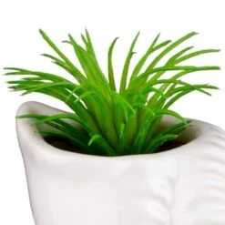 B&M Scandi Shore Small Shell Succulent -Cheap Home Style Store 380110 small shell succulent 5