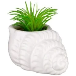 B&M Scandi Shore Small Shell Succulent -Cheap Home Style Store 380110 small shell succulent 6