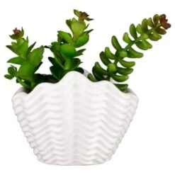 B&M Scandi Shore Small Shell Succulent -Cheap Home Style Store 380110 small shell succulent 7