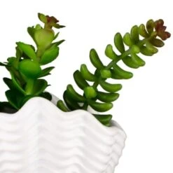 B&M Scandi Shore Small Shell Succulent -Cheap Home Style Store 380110 small shell succulent 8