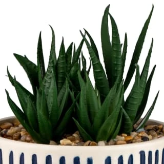 B&M Scandi Shore Stripe Succulent 2 B&M Scandi Shore Stripe Succulent - Image 2
