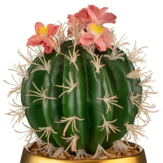 B&M Lush Paradise Cactus In Gold Pot 2 B&M Lush Paradise Cactus In Gold Pot - Image 2
