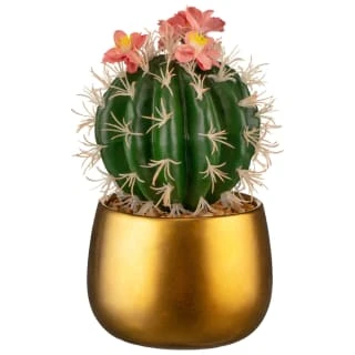 B&M Lush Paradise Cactus In Gold Pot 1 B&M Lush Paradise Cactus In Gold Pot