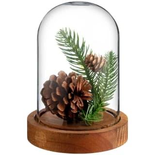 B&M Pine Cone Arrangement In Cloche 1 B&M Pine Cone Arrangement In Cloche