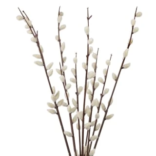 B&M Pussy Willow In White Vase 2 B&M Pussy Willow In White Vase - Image 2