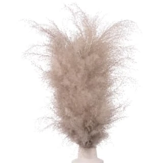 B&M Pampas In White Vase 2 B&M Pampas In White Vase - Image 2