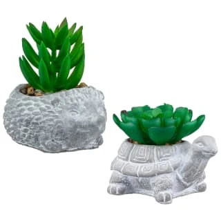 Bloom Mini Animal Succulent - Hedgehog 2 Bloom Mini Animal Succulent - Hedgehog - Image 2