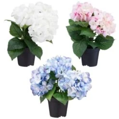 Bloom Hydrangea In Pot - Pink -Cheap Home Style Store 392961 hydrangea in pot group1