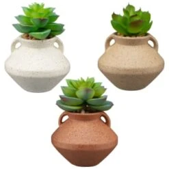B&M Small Succulent Vase - Orange 5 B&M Small Succulent Vase - Orange -Cheap Home Style Store 394662 small vase succulent group
