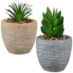 B&M Small Succulent Pot - Stone 5 B&M Small Succulent Pot - Stone -Cheap Home Style Store 394663 small succulent group