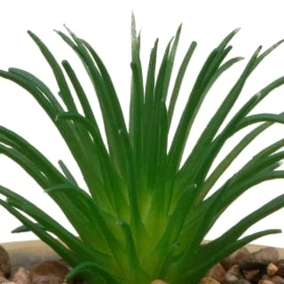 B&M Small Succulent Pot - Stone 2 B&M Small Succulent Pot - Stone - Image 2