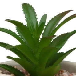 B&M Assorted Embossed Pots 12 B&M Assorted Embossed Pots -Cheap Home Style Store 394664 embossed pot 2