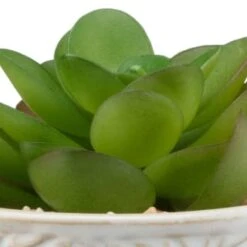 B&M Assorted Embossed Pots 13 B&M Assorted Embossed Pots -Cheap Home Style Store 394664 embossed pot 6