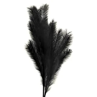 B&M Pampas Stem - Black 2 B&M Pampas Stem - Black - Image 2